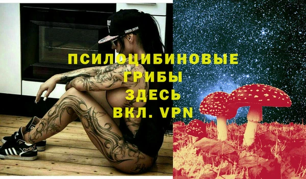 ешки Алексин