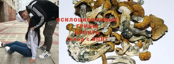 спиды Алзамай